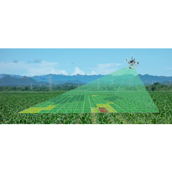 lorem ipsum dolor sit